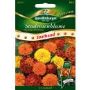 Studentenblume Niedrige Mischung - Tagetes patula Nana - SAATBAND