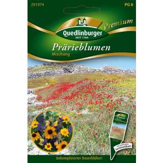 Prärieblumen Mischung, Formelmischung - Diverse species - Samen