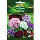 Bartnelke Bodestolz Mischung - Dianthus barbatus - Samen