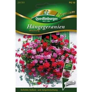 Geranium, Hängegeranien Mischung - Pelargonium peltatum - Samen