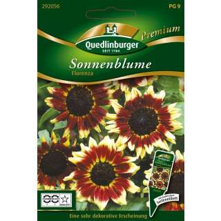 Sonnenblume Florenza - Helianthus annuus - Samen