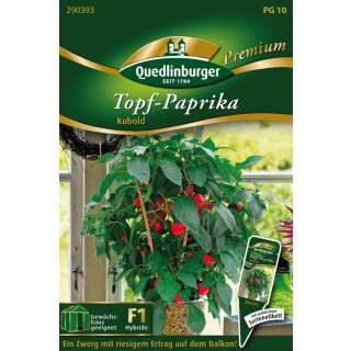 Topf Paprika Kobold - Capsicum annuum L. - Samen