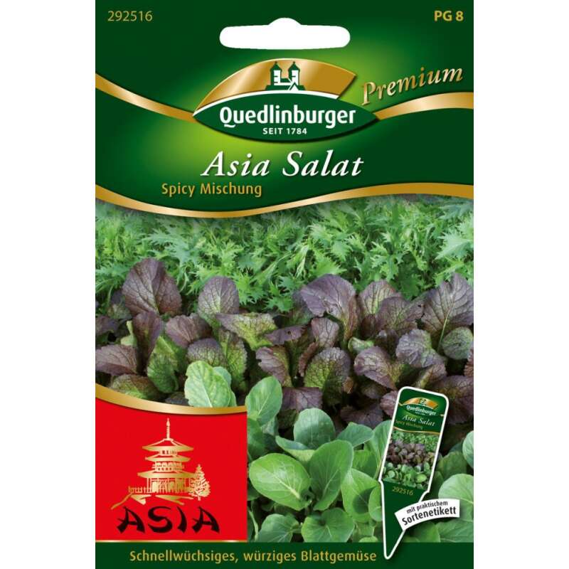 Asia Salat Spicy Mischung - Brassica campestris, japonica group - Samen