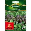 Asia Salat Spicy Mischung - Brassica campestris, japonica group - Samen