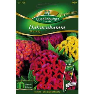 Celosie, Hahnenkamm Mischung - Celosia cristata - Samen