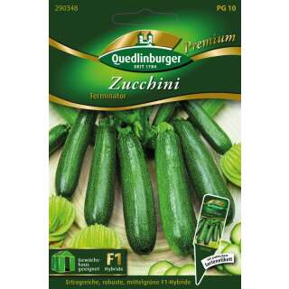 Zucchetti, Zucchini Terminator F1 - Cucurbita pepo L. -...