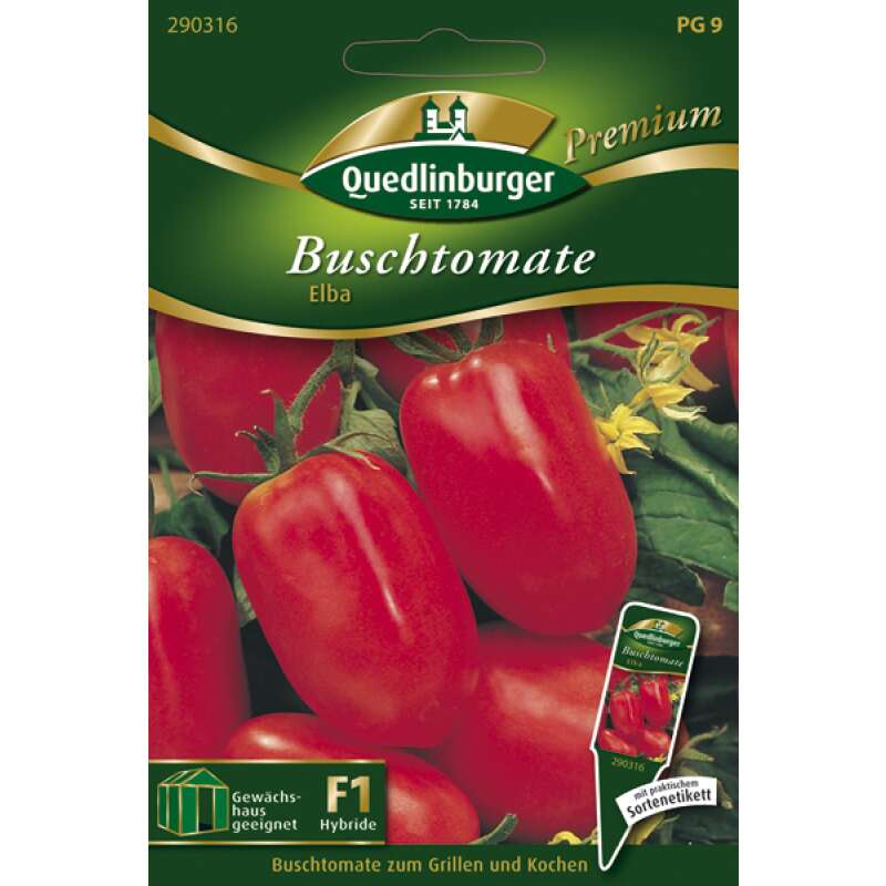 Tomate, Buschtomate Elba F1 - Lycopersicon esculentum - Tomatensamen