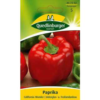 Paprika California Wonder - Capsicum annuum - Samen