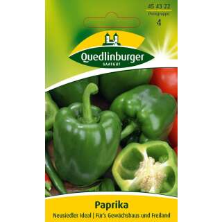 Paprika Neusiedler Ideal - Capsicum annuum - Samen