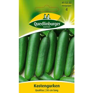 Gurke, Kastengurke Qualitas - Cucumis sativus - Samen