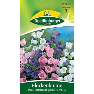 Glockenblume, Prachtmischung - Campanula medium - Samen