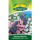 Glockenblume, Prachtmischung - Campanula medium - Samen