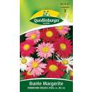 Margerite, bunte Robinsons Riesen - Chrysanthemum coccineum (Pyrethrum) - Samen