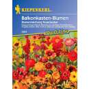 Balkonkasten Blumen Feuerzauber PROFILINE - Diverse species - Samen