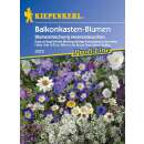 Balkonkasten Blumen Meeresrauschen PROFILINE - Diverse species - Samen