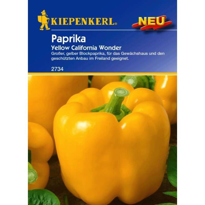 Paprika Yellow California Wonder - Capsicum annuum - Samen