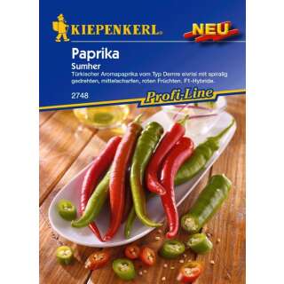 Paprika Sumher PROFILINE - Capsicum annuum - Samen