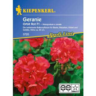 Geranie Orbit Rot F1 PROFILINE - Pelargonium x zonale - Samen