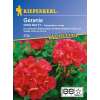 Geranie Orbit Rot F1 PROFILINE - Pelargonium x zonale - Samen