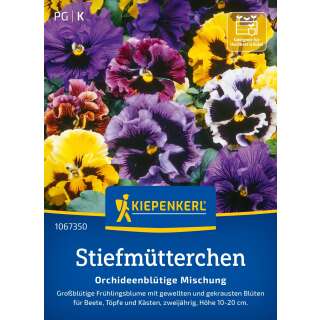 Stiefmütterchen Orchideenblütige Mischung PROFILINE - Viola x wittrockiana - Samen