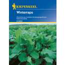 Winterraps - Brassica napus - Samen