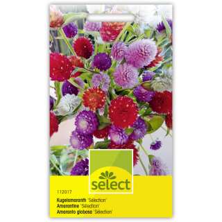 Kugelamaranth Selection, Prachtmischung - Gomphrena globosa, Gomphrena haageana - Samen