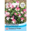 Wicke, Gartenwicke Villa Roma White Rose - Lathyrus odoratus - Samen