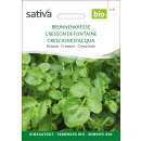 Brunnenkresse - Nasturtium officinale -Samen