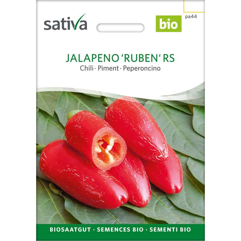 Chili Jalapeno - Capsicum annuum - BIOSAMEN