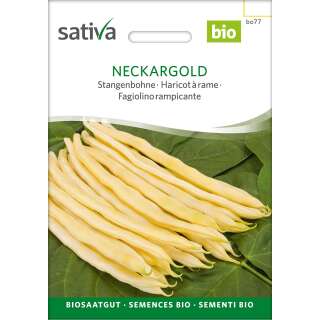 Stangenbohne Neckargold - Phaseolus vulgaris - Demeter Biologische Samen