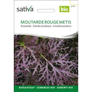 Asiasalat Moutarde Rouge Metis - Brassica rapa var. Japonica - Demeter Biologische Samen