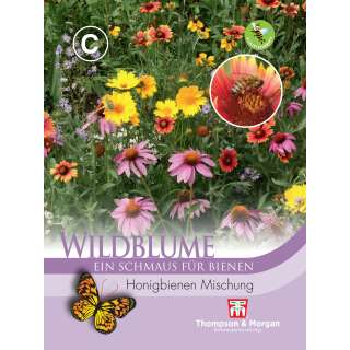 Wildblumenmischung Honey Bee - Samen