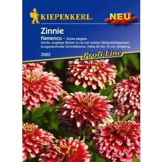 Zinnie Flamenco PROFILINE - Zinnia elegans - Samen