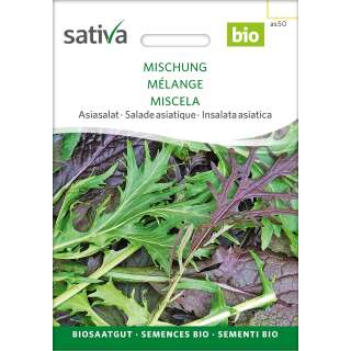 Asiasalat Mischung - Brassica rapa var. Japonica - Biologische Samen