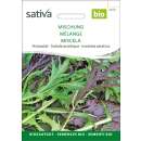 Asiasalat Mischung - Brassica rapa var. Japonica - Biologische Samen