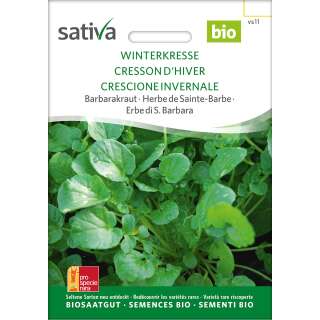 Barbarakraut, Winterkresse - Barbarea vulgaris- Demeter...