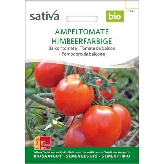 Tomate, Balkontomate Ampeltomate Himbeerfarbige -...