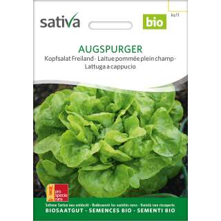 Kopfsalat Freiland Augspurger - Lactuca sativa -  Demeter Biologische Samen