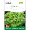 Kopfsalat Freiland Augspurger - Lactuca sativa -  Demeter Biologische Samen