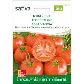 Tomate Berner Rosen - Lycopersicon esculentum - Biosamen