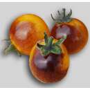 Tomate Indigo Gold Berries - Lycopersicon esculentum -...