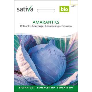 Rotkabis, Rotkohl Amarant KS - Brassica oleracea convar. capitata - Demeter biologische Samen