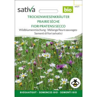 Wildblumenmischung Trockenwiesenkräuter - Diverse...