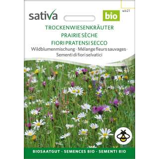 Wildblumenmischung Trockenwiesenkräuter - Diverse species - BIOSAMEN