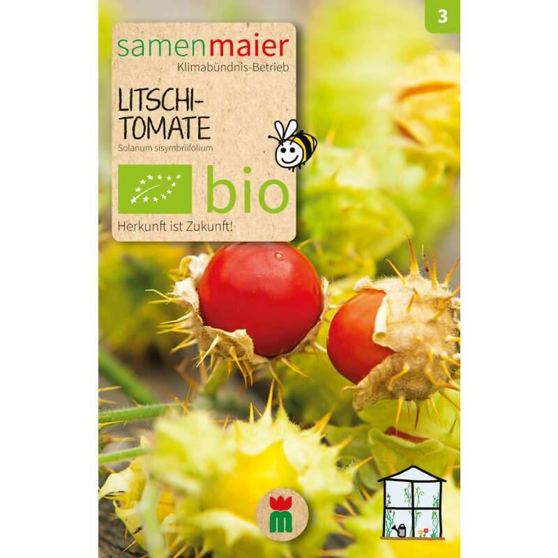 Litschi Tomate - Solanum sisymbriifolium - Biosamen