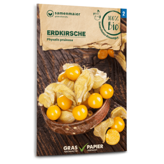 Erdkirsche, Ananaskirsche, Physalis - Physalis pruinosa -...