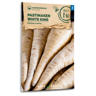 Pastinake White King -  Pastinaca sativa - BIOSAMEN