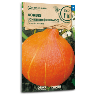 Kürbis, Riesenkürbis Uchiki Kuri, Hokkaido - Cucurbita maxima - BIOSAMEN