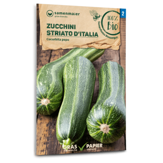 Zucchetti, Zucchini Striato dItalia - Cucurbita pepo -...