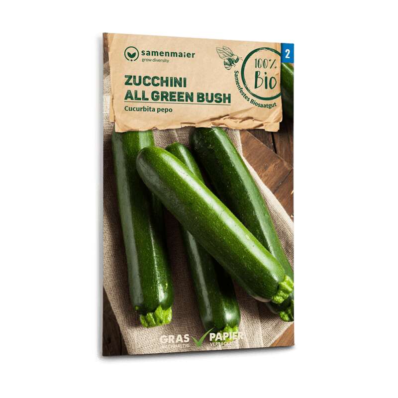 Zucchetti, Zucchini All Green Bush - Cucurbita pepo - BIOSAMEN